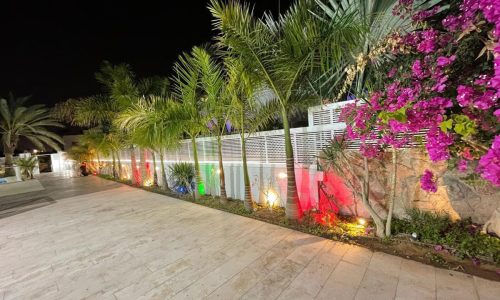 058e08bf-f7b7-4819-a33f-b36e4c0527c3