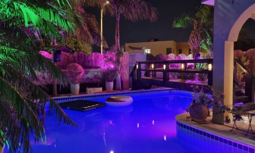 89c52065-0094-4212-937b-82b3cec99e78